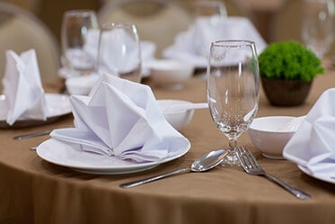 Napkins  Restaurant Linen Supply and Rental Services from Dempsey