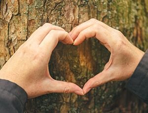 Green Company - Heart Hands on Tree